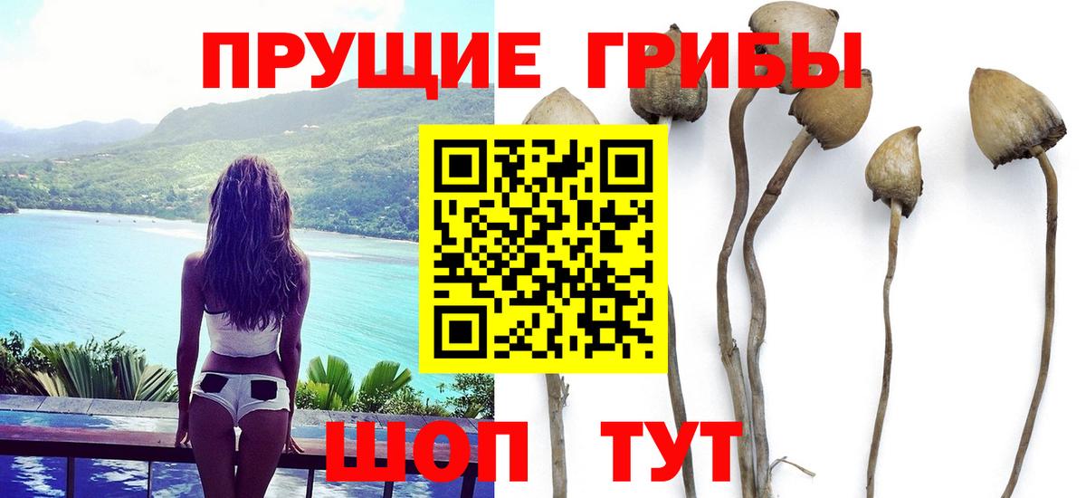 купить наркоту  Галлюциногенные грибы ЛСД  Вход с VPN  Коркино 